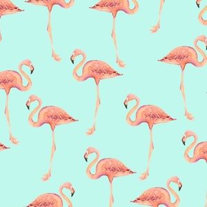 Meet your Posher, Connor